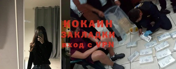 spice Краснослободск