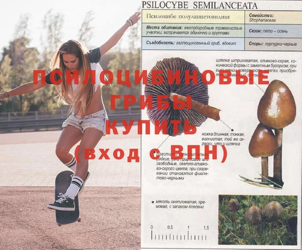 прущий лед Кулебаки