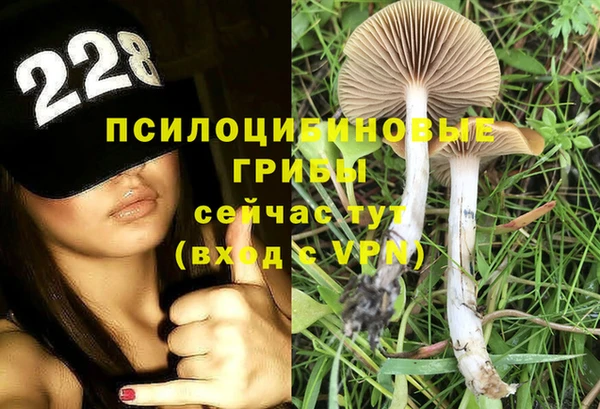 spice Краснослободск