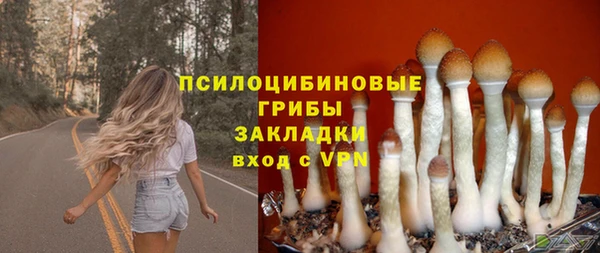 прущий лед Кулебаки