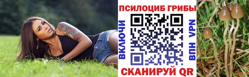 Купить  Избербаш  Псилоцибиновые грибы MAGIC MUSHROOMS 